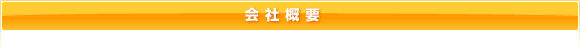 ЊTv